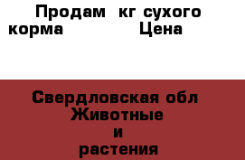 Продам 3кг сухого корма Pro Plan › Цена ­ 1 350 - Свердловская обл. Животные и растения » Аксесcуары и товары для животных   